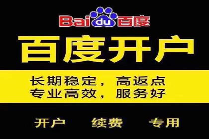 百度竞价推广：从投放策略到效果评估的全过程